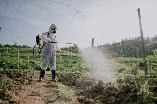 Best Ant Control Services  in Oshkosh, WI
