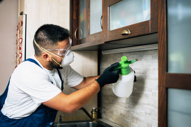 Best Residential Pest Control  in Oshkosh, WI