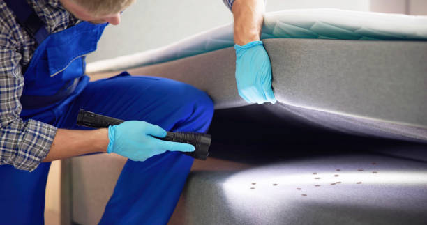 Best Emergency Pest Control  in Oshkosh, WI