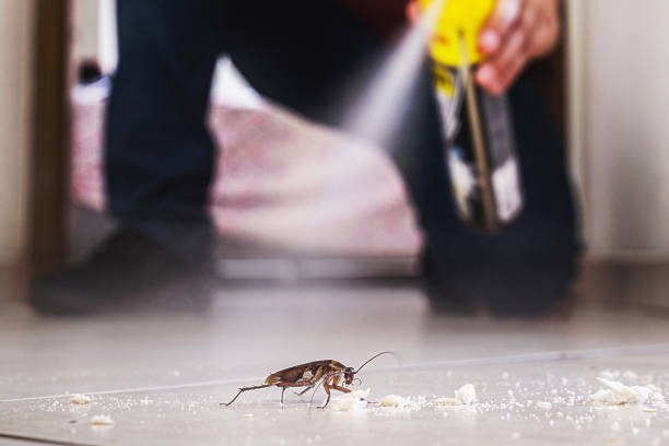  Oshkosh, WI Pest Control Pros