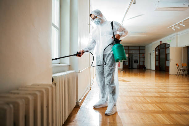Best Flea Control Services  in Oshkosh, WI