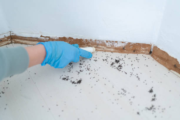 Wildlife Control Services in Oshkosh, WI
