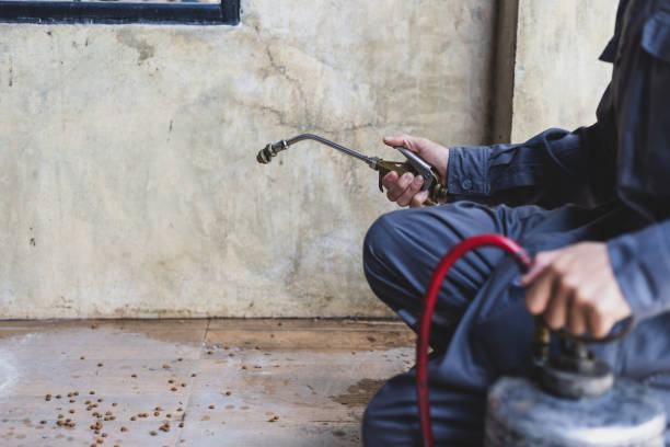 Professional Pest Control in Oshkosh, WI